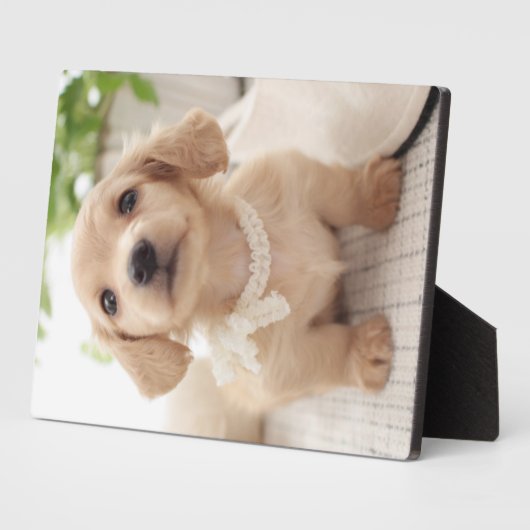 Miniature Dachshund Fotoplaat (Zijkant)