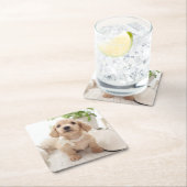 Miniature Dachshund Kartonnen Onderzetters (Insitu)