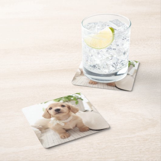 Miniature Dachshund Kartonnen Onderzetters (Insitu)