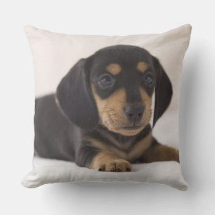 Miniature Dachshund Kussen