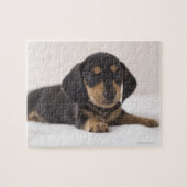 Miniature Dachshund Legpuzzel (Horizontaal)