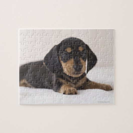 Miniature Dachshund Legpuzzel (Horizontaal)