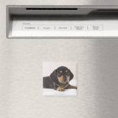 Miniature Dachshund Magneet (Insitu (Vaatwasser))