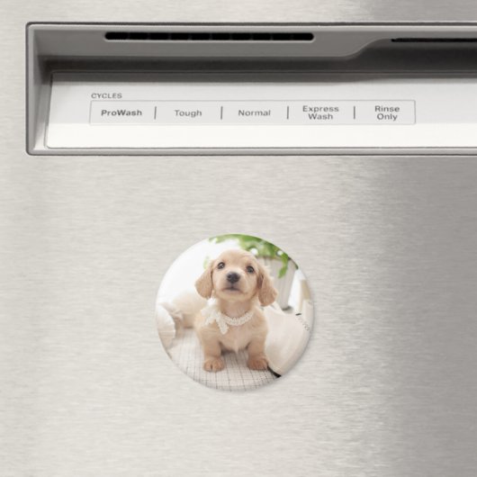 Miniature Dachshund Magneet (Insitu (Vaatwasser))