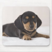 Miniature Dachshund Muismat (Voorkant)