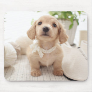 Miniature Dachshund Muismat