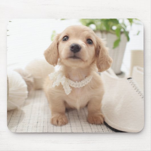 Miniature Dachshund Muismat (Voorkant)