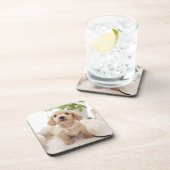 Miniature Dachshund Onderzetter (Rechterzijde)