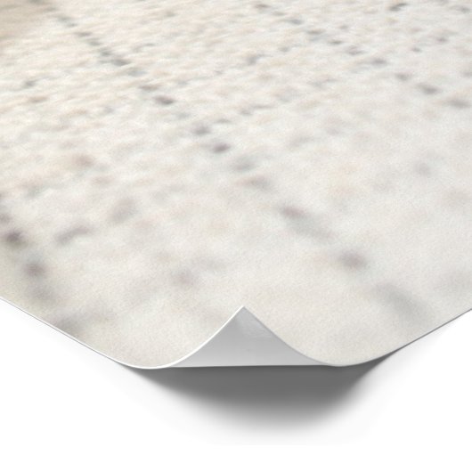 Miniature Dachshund Poster (Hoek)