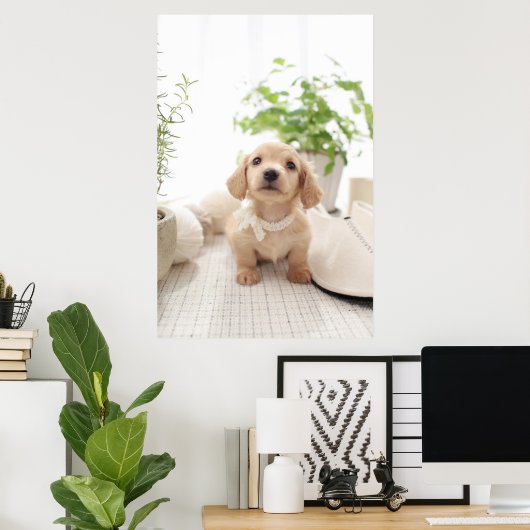 Miniature Dachshund Poster (Thuiskantoor)