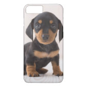 Miniature Dachshund Sitting Case-Mate iPhone Case (Achterkant)