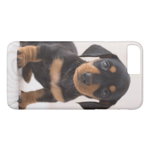 Miniature Dachshund Sitting Case-Mate iPhone Case (Achterkant (Horizontaal))