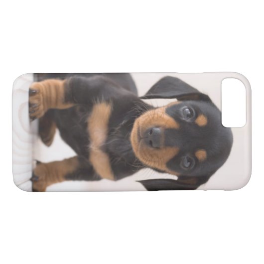 Miniature Dachshund Sitting Case-Mate iPhone Case (Achterkant (Horizontaal))