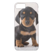 Miniature Dachshund Sitting Case-Mate iPhone Case (Achterkant)