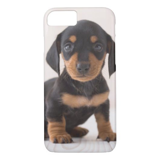 Miniature Dachshund Sitting Case-Mate iPhone Case (Achterkant)