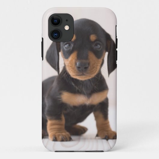 Miniature Dachshund Sitting Case-Mate iPhone Case (Achterkant)