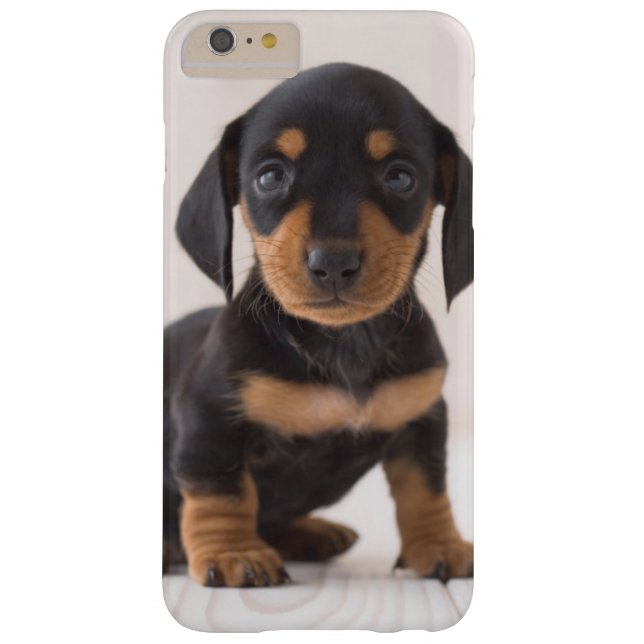 Miniature Dachshund Sitting Case-Mate iPhone Case (Achterkant)
