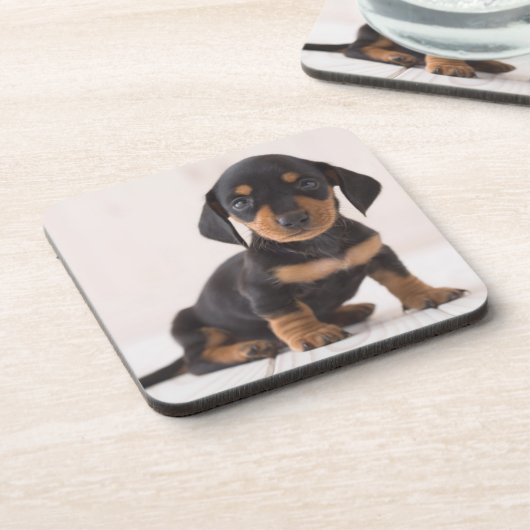 Miniature Dachshund Sitting Drankjes Onderzetter (Linkerzijde)