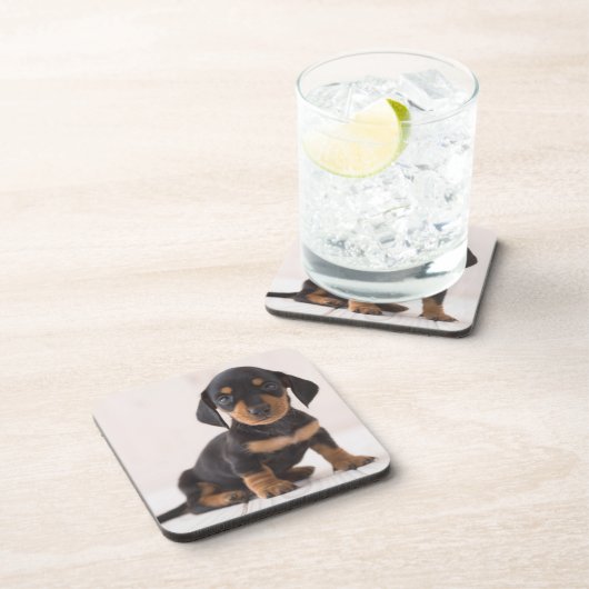 Miniature Dachshund Sitting Drankjes Onderzetter (Rechterzijde)