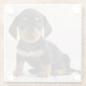 Miniature Dachshund Sitting Glazen Onderzetter (Achterkant)