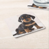 Miniature Dachshund Sitting Kartonnen Onderzetters (Schuin)