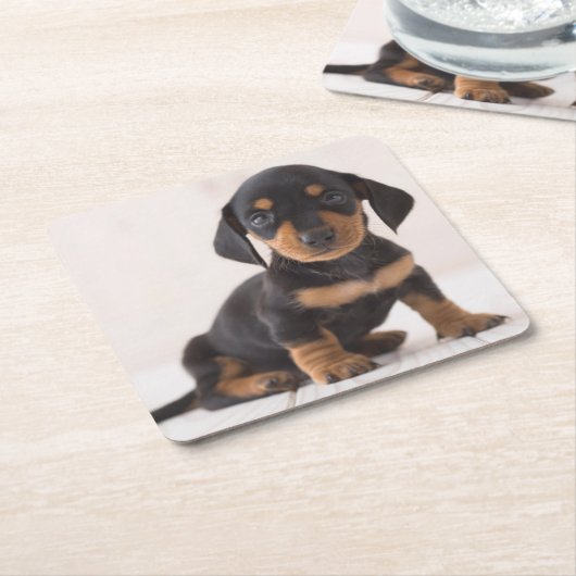 Miniature Dachshund Sitting Kartonnen Onderzetters (Schuin)