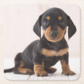 Miniature Dachshund Sitting Kartonnen Onderzetters (Voorkant)