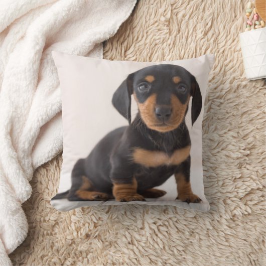 Miniature Dachshund Sitting Kussen (Deken)