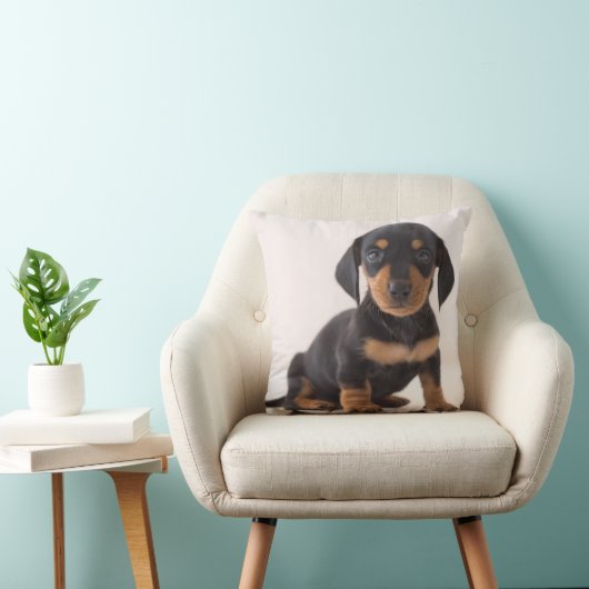 Miniature Dachshund Sitting Kussen (Stoel)