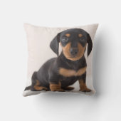 Miniature Dachshund Sitting Kussen (Achterkant)