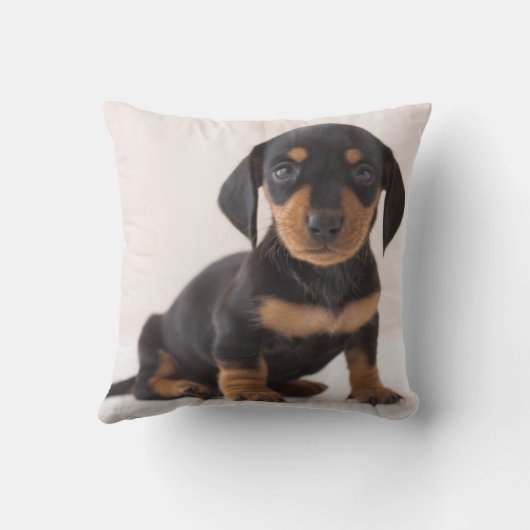 Miniature Dachshund Sitting Kussen (Achterkant)