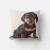 Miniature Dachshund Sitting Kussen (Voorkant)