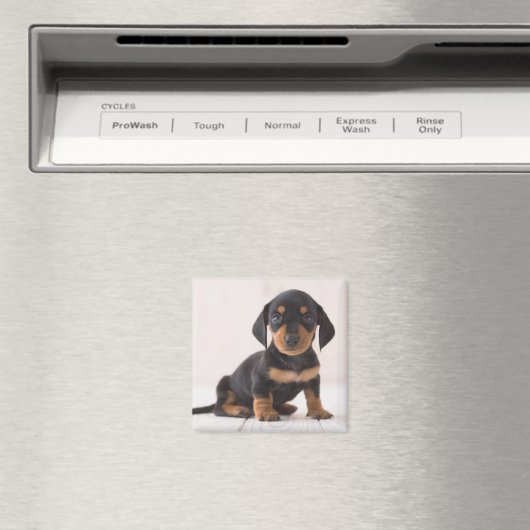 Miniature Dachshund Sitting Magneet (Insitu (Vaatwasser))