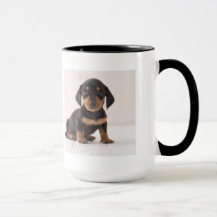 Miniature Dachshund Sitting Mok