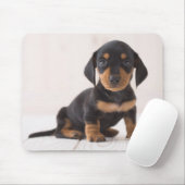 Miniature Dachshund Sitting Muismat (Met muis)