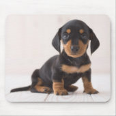 Miniature Dachshund Sitting Muismat (Voorkant)
