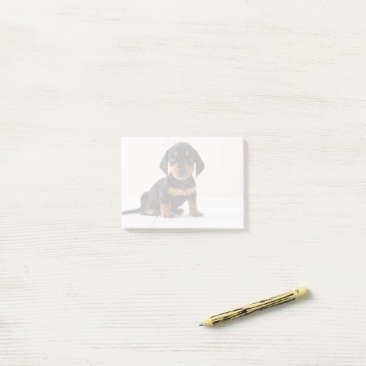 Miniature Dachshund Sitting Post-it® Notes (Op bureau)
