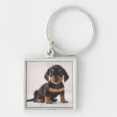 Miniature Dachshund Sitting Sleutelhanger (Voorkant)