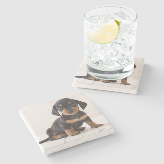 Miniature Dachshund Sitting Stenen Onderzetter (Zijkant)