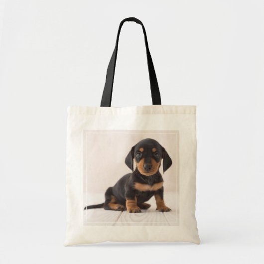 Miniature Dachshund Sitting Tote Bag (Voorkant)
