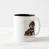 Miniature Dachshund Sitting Tweekleurige Koffiemok (Voorkant rechts)