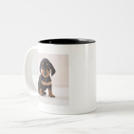 Miniature Dachshund Sitting Tweekleurige Koffiemok (Voorkant links)