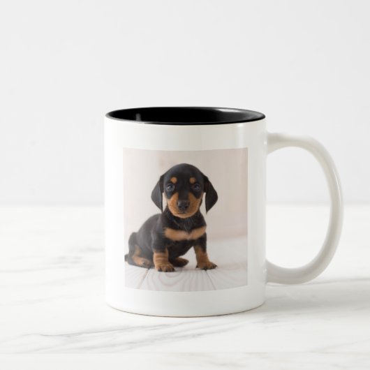 Miniature Dachshund Sitting Tweekleurige Koffiemok (Rechts)