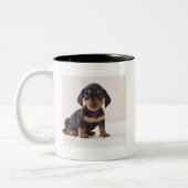 Miniature Dachshund Sitting Tweekleurige Koffiemok (Links)