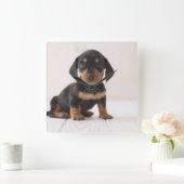 Miniature Dachshund Sitting Vierkante Klok (Huis)