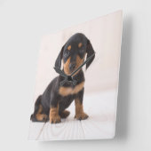 Miniature Dachshund Sitting Vierkante Klok (Hoek)