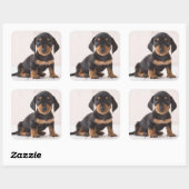 Miniature Dachshund Sitting Vierkante Sticker (Vel)