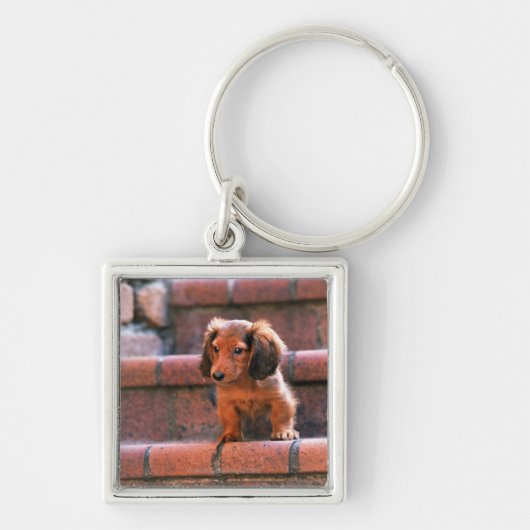 Miniature Dachshund Sleutelhanger (Voorkant)