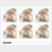 Miniature Dachshund Vierkante Sticker (Vel)