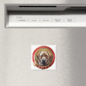 MINIATURE DOG PORTRAITS Chocolate Labrador Magneet (Insitu (Vaatwasser))